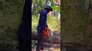 world sawyer - #shorts #worldsawyer #woodshop #woodword #woodworking #chainsaw #automobile #powersaw