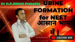Urine Formation Class 11 || Function Of Tubule  || Henle Loop Function In Hindi || Collecting Duct.