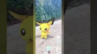 Pichu Ethan Card #156 #pokemon
