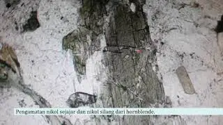 Petrografi sifat optik hornblende