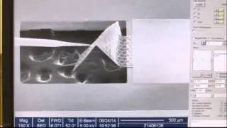 Manipulations of plate mechanical metamaterials