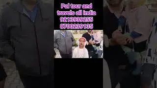 pal tour and travels all india