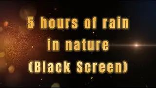 5 Hours of Rain Sounds in Nature (Black Screen) | Sleep Deeply and Relax