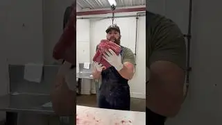 Boneless Bison Chuck Roasts 🥩 🔪 #shorts #bison #chuckroasts #meat