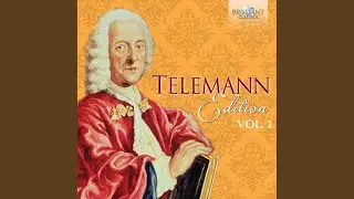 Overture-Suite in B Minor, TWV 55:h4: VII. Rodomontate