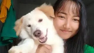 Good morning From Assam Vlog Garden Dog