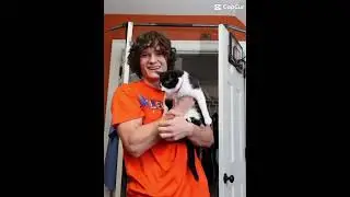 How many cats can hold me