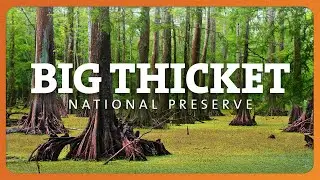 Big Thicket National Preserve - WNPA