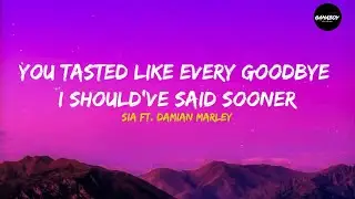 Sia ft. Damian Marley - You Tasted Like Every Goodbye I SHOULD'VE Said Sooner (Lyrics)