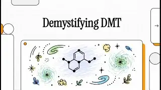 Demystifying DMT (DMT II)