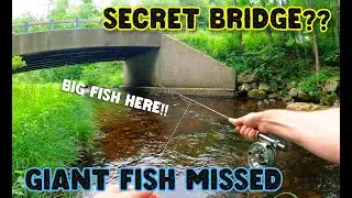 Found a SECRET BRIDGE While Fly Fishing &mdash; Missed a Big Brown Trout! | ADIRONDACKS NY Trout Fishing