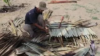 Making hut from palm tree leaves - Traditional hut