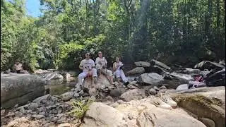 Juremaaaa #natureza #jurema #capoeira #ancestralidade #oxum #licença 