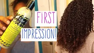 The Mane Choice 4 Way Conditioner FIRST IMPRESSION!