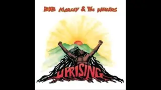 Bob Marley - Bad Card (Instrumental) 432hz