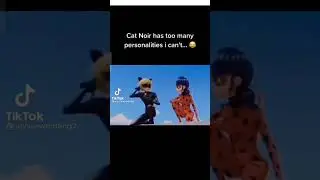 cat noir is trying to tell lucky charm in ladybug's voice 😂