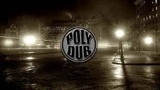 PolyDub Intro Clip