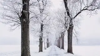 1 Hour Deep Sleep Music to Wake Up Energized, Fall Asleep Fast, Beat Insomnia