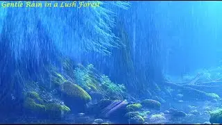 Gentle Rain in a Lush Forest | Perfect Sound for Calming the Mind, Studying, Working & Intense Focus