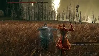 ELDEN RING- Team Tarnished vs Commander Gaius