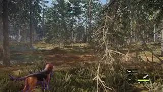 Hunter Call Of The Wild!!! SUB & LIKE!!!