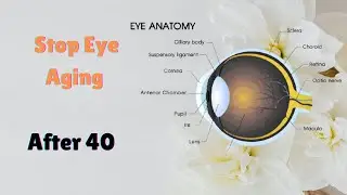 Eye Health After 40: 5 Warning Signs You Shouldn&rsquo;t Ignore