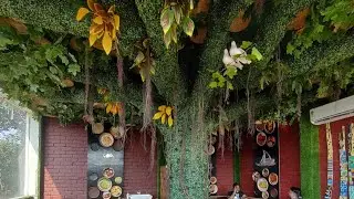 JUNGLE THEME RESTAURANT I BEST JUNGLE THEME RESTAURANT  I BEST THEME RESTAURANT