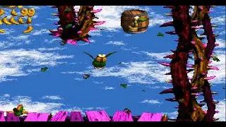 Donkey Kong Country 2. The War (Snes)