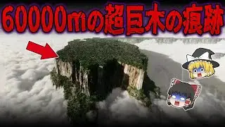 【総集編】眠れなくなるほど面白い世界の謎９選！60000ｍ巨木が超古代に存在していた証拠【ゆっくり解説】