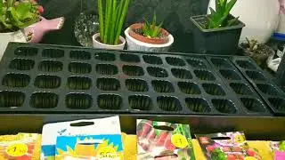 Indoor plant growing - Hydrophonics 101. Getting started 🌱 Video #1