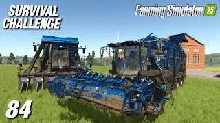 Сбор хлопка и зеленой фасоли! | Испытание на выживание | Farming Simulator 25 - Эпизод 84