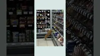 What If Money Disappeared?