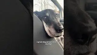 Saying Goodbye to My Dog (A Heartfelt Tribute to Elliott)  #dogtraining #dogtribute #lossofadog