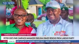 Peter Obi's Former Campaign Manager Oseloka Obaze Resigns From Labour Party