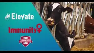 Semex Elevate: hoe uw monsters te verzamelen?