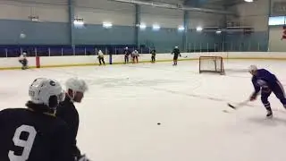 Puckface Hockey Training: Pro/Junior Sessions - Agility Series