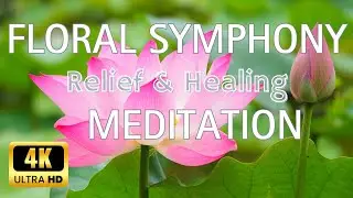 Floral Symphony 4K: 3-Hour Relaxation, Healing and Meditation music Journey with Enchanting Flowers