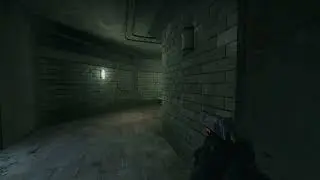 Faceit Frags (110)