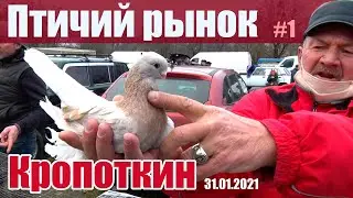 Птичий рынок. Кропоткин. Часть 1. [31.01.2021]
