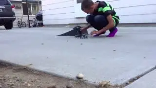 Air Hogs Hyperactive Pro
