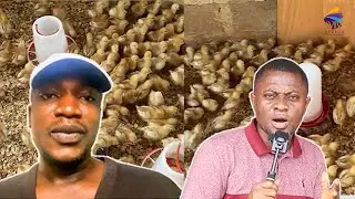 I Started Poultry Farming With 200 Birds, I&rsquo;m Doing Business Instead of Travelling Abroad To Hustle