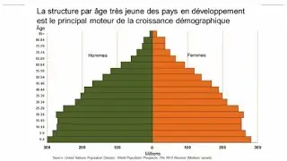 Vignette Démographique: Déchiffrer Les Pyramides Des Ages