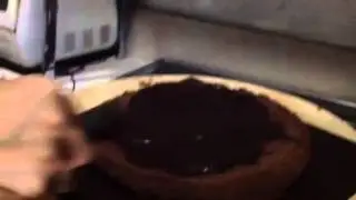 Guple cake