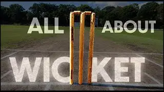 ALL About a WICKET in Cricket | Measurements of Stumps and Bails | English