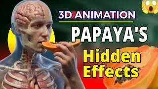 Papaya Digestion & Health Benefits | 3D Anatomical Animation Short