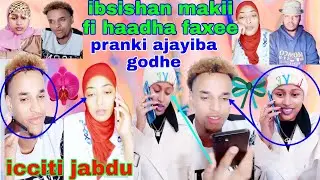 ibsishan makii fi haadha faxee pranki godhe icciti  jabdu harka bate salphina gudda haadha faxee