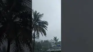 There is nothing like rainfall #rainfall #rain #asmr #calm #home #mountain #scene