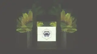 Council of One - Sequoia (Projection Mapping)