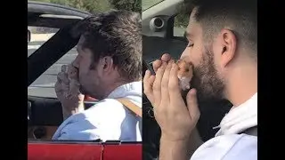 Recreating The Hamster Picture