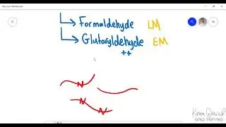 Histology - Tissue Preparation